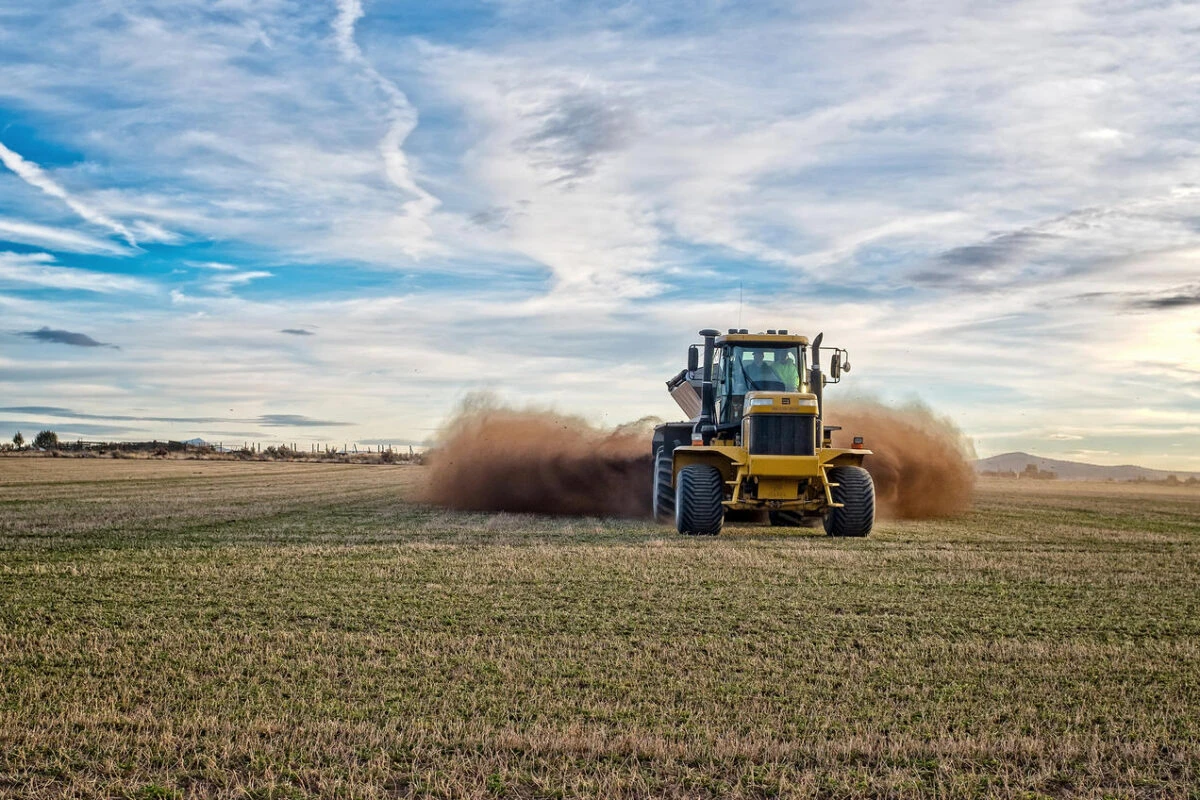 harvest